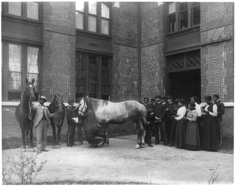 Hampton Students Judging Horses