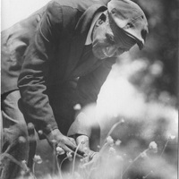 George Washington Carver Picking Flowers